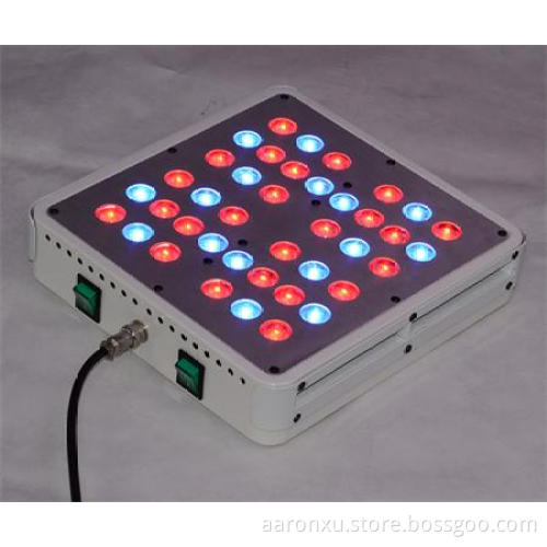 full spectrum Apollo 4 led grow light